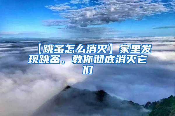 【跳蚤怎么消滅】家里發(fā)現(xiàn)跳蚤，教你徹底消滅它們
