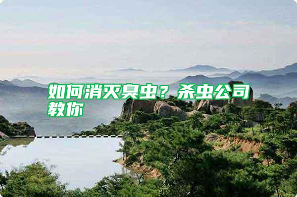 如何消滅臭蟲？殺蟲公司教你