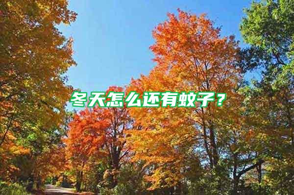 冬天怎么還有蚊子？