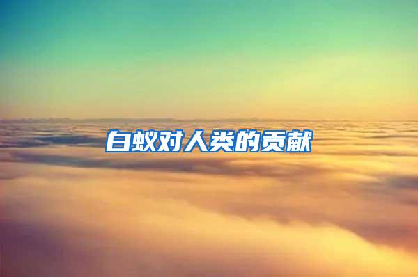 白蟻對(duì)人類(lèi)的貢獻(xiàn)