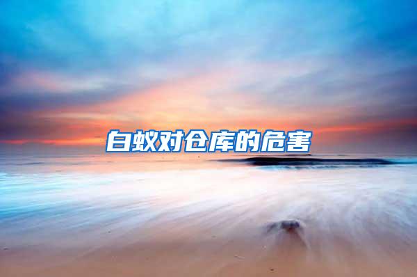 白蟻對(duì)倉(cāng)庫(kù)的危害
