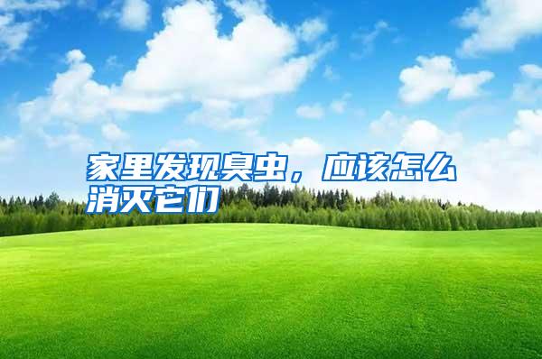 家里發(fā)現(xiàn)臭蟲，應(yīng)該怎么消滅它們