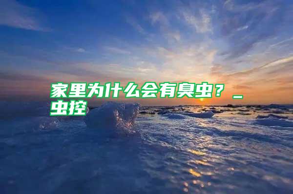 家里為什么會有臭蟲？_蟲控