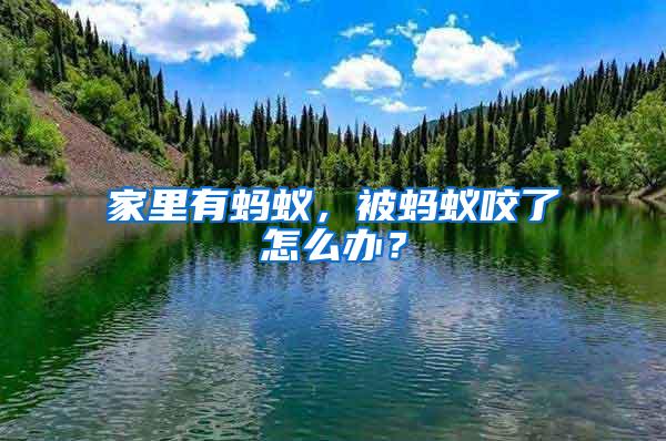 家里有螞蟻，被螞蟻咬了怎么辦？