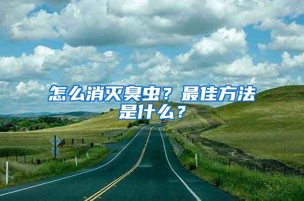 怎么消滅臭蟲？最佳方法是什么？