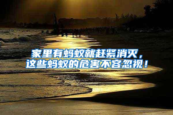 家里有螞蟻就趕緊消滅，這些螞蟻的危害不容忽視！