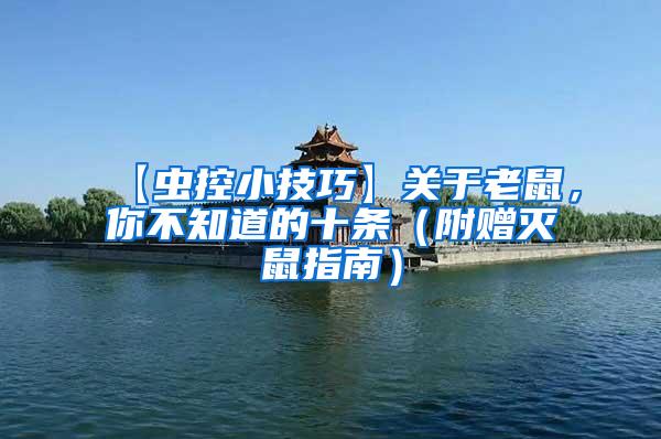 【蟲控小技巧】關(guān)于老鼠，你不知道的十條（附贈(zèng)滅鼠指南）