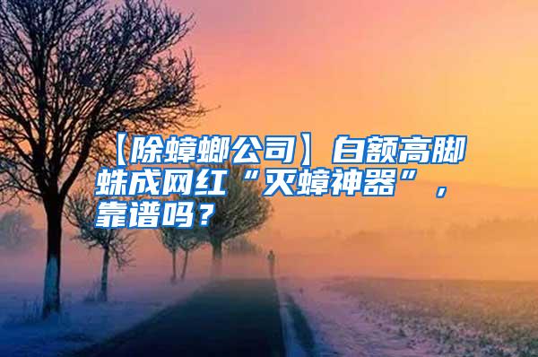 【除蟑螂公司】白額高腳蛛成網(wǎng)紅“滅蟑神器”，靠譜嗎？