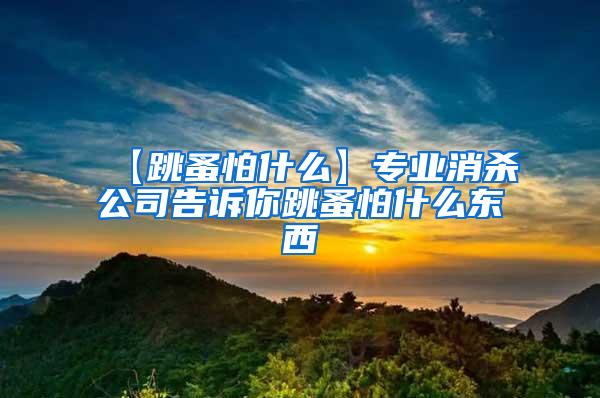 【跳蚤怕什么】專(zhuān)業(yè)消殺公司告訴你跳蚤怕什么東西