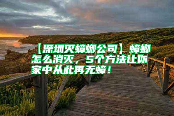 【深圳滅蟑螂公司】蟑螂怎么消滅，5個方法讓你家中從此再無蟑！