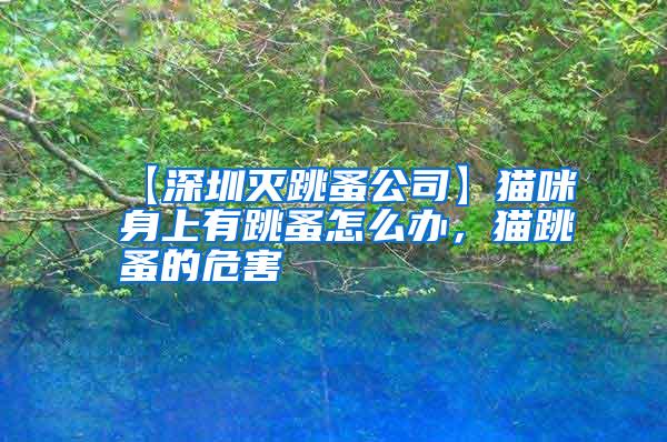 【深圳滅跳蚤公司】貓咪身上有跳蚤怎么辦，貓?zhí)榈奈：?/></p>
             <p style=