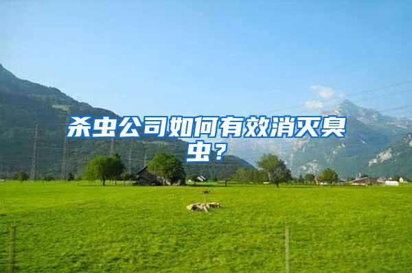 殺蟲(chóng)公司如何有效消滅臭蟲(chóng)？