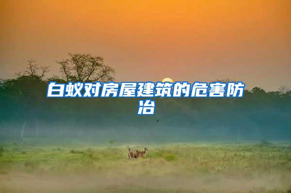 白蟻對(duì)房屋建筑的危害防冶