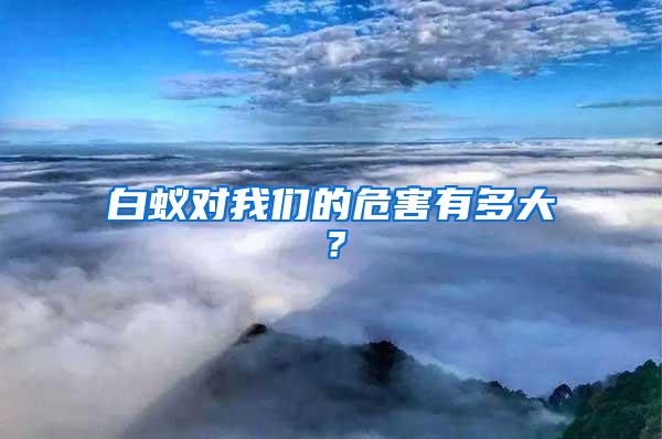 白蟻對我們的危害有多大？