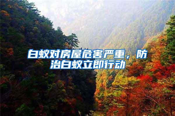 白蟻對(duì)房屋危害嚴(yán)重，防治白蟻立即行動(dòng)