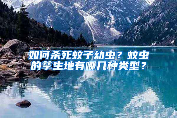 如何殺死蚊子幼蟲？蚊蟲的孳生地有哪幾種類型？