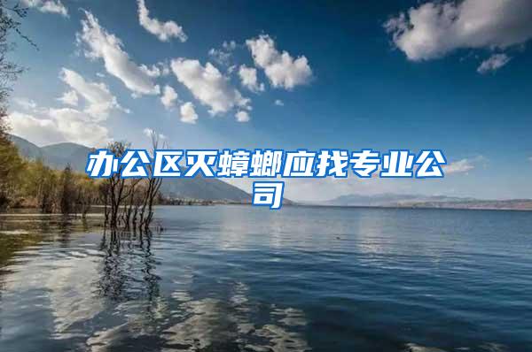 辦公區(qū)滅蟑螂應找專業(yè)公司