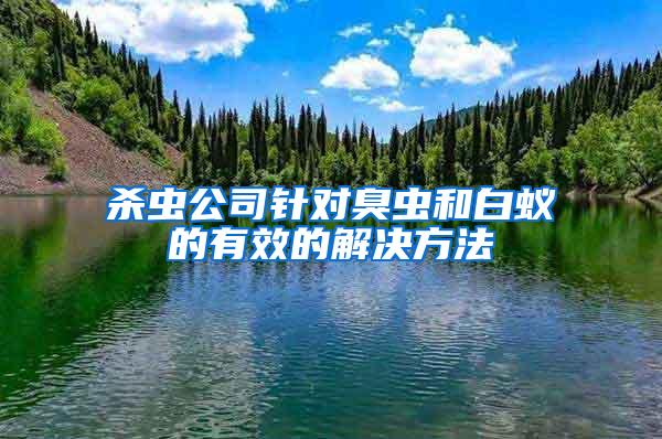 殺蟲公司針對臭蟲和白蟻的有效的解決方法