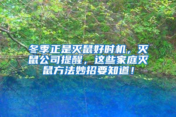 冬季正是滅鼠好時(shí)機(jī)，滅鼠公司提醒，這些家庭滅鼠方法妙招要知道！