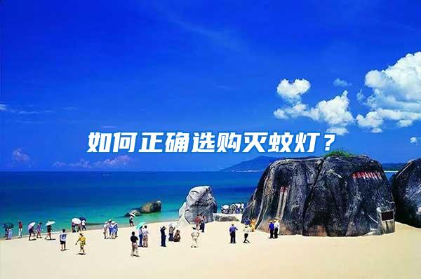 如何正確選購滅蚊燈？