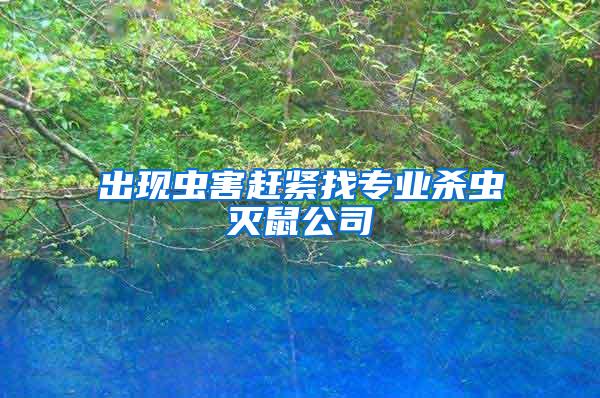 出現(xiàn)蟲(chóng)害趕緊找專(zhuān)業(yè)殺蟲(chóng)滅鼠公司
