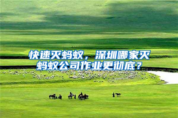 快速滅螞蟻，深圳哪家滅螞蟻公司作業更徹底？