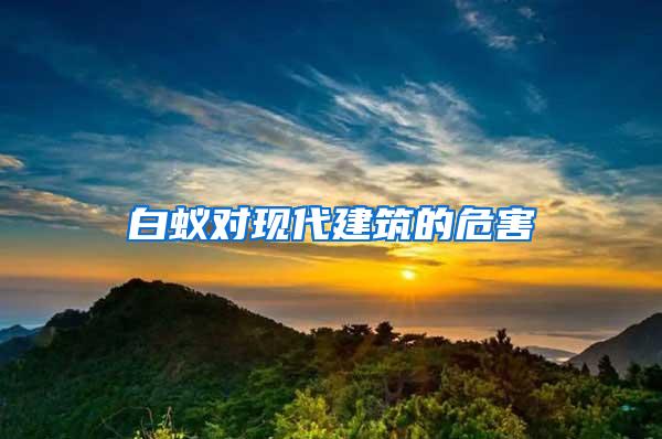 白蟻對現(xiàn)代建筑的危害