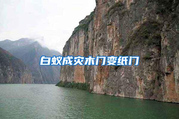 白蟻成災(zāi)木門變紙門