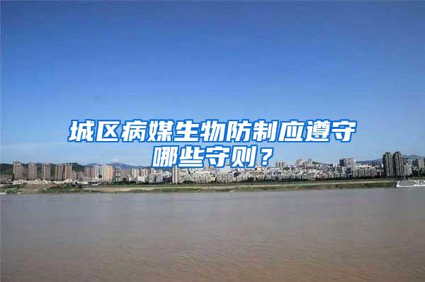 城區(qū)病媒生物防制應(yīng)遵守哪些守則？