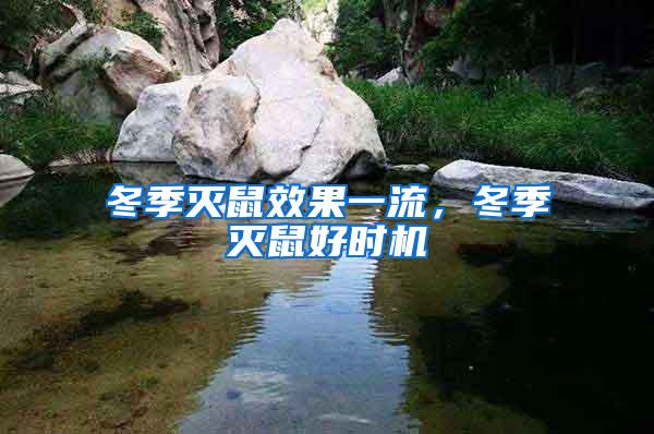 冬季滅鼠效果一流，冬季滅鼠好時(shí)機(jī)