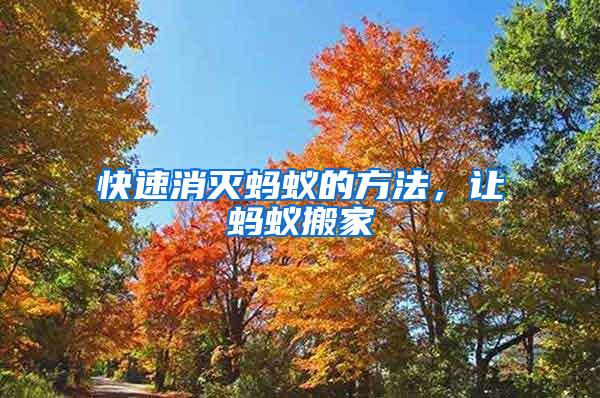 快速消滅螞蟻的方法，讓螞蟻搬家