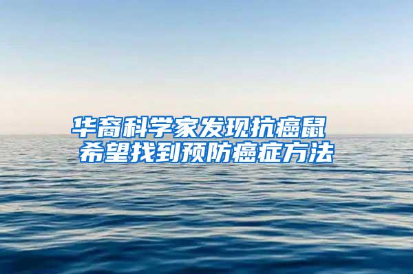 華裔科學家發(fā)現(xiàn)抗癌鼠 希望找到預防癌癥方法