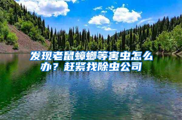 發(fā)現(xiàn)老鼠蟑螂等害蟲怎么辦？趕緊找除蟲公司