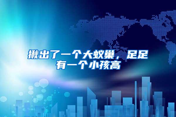 揪出了一個(gè)大蟻巢，足足有一個(gè)小孩高
