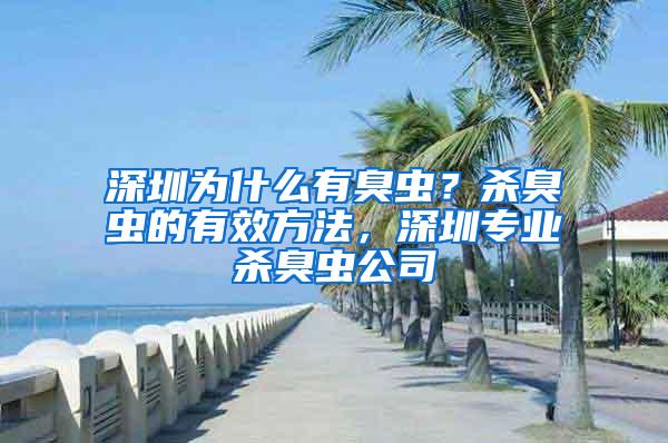 深圳為什么有臭蟲？殺臭蟲的有效方法，深圳專業(yè)殺臭蟲公司