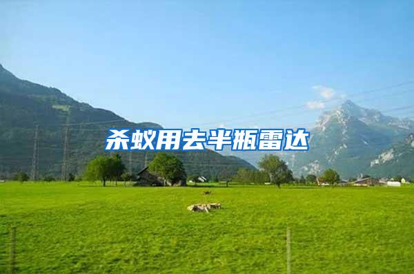 殺蟻用去半瓶雷達(dá)