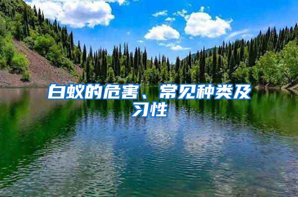 白蟻的危害、常見種類及習(xí)性