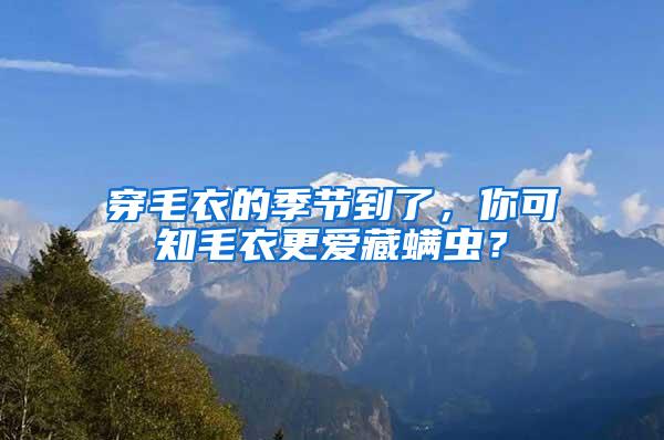 穿毛衣的季節到了，你可知毛衣更愛藏螨蟲？