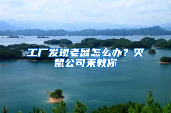 工廠發(fā)現(xiàn)老鼠怎么辦？滅鼠公司來教你