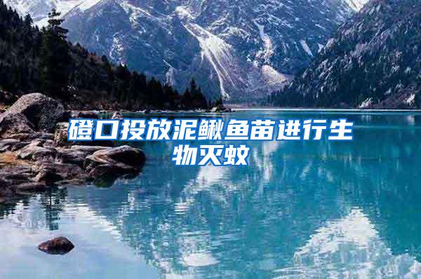 磴口投放泥鰍魚苗進(jìn)行生物滅蚊