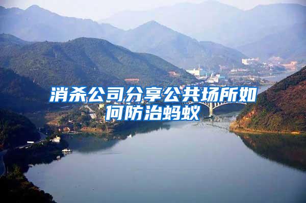 消殺公司分享公共場(chǎng)所如何防治螞蟻