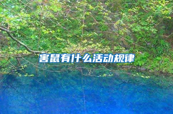 害鼠有什么活動(dòng)規(guī)律