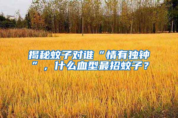 揭秘蚊子對誰“情有獨鐘”，什么血型最招蚊子？