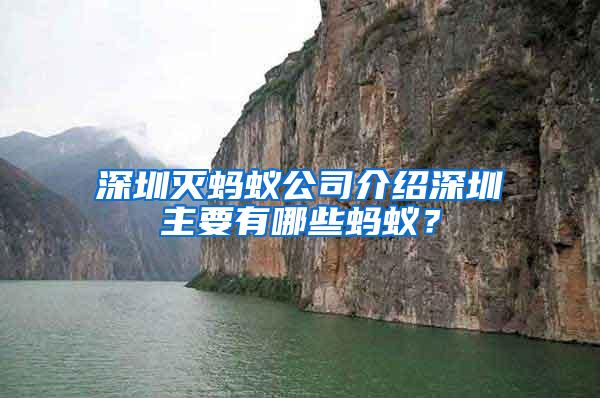 深圳滅螞蟻公司介紹深圳主要有哪些螞蟻？