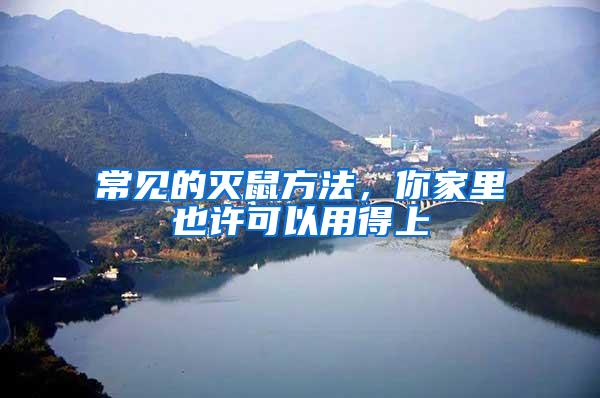 常見的滅鼠方法，你家里也許可以用得上