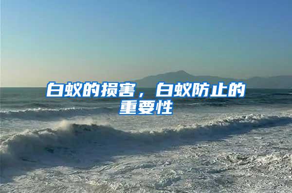 白蟻的損害，白蟻防止的重要性
