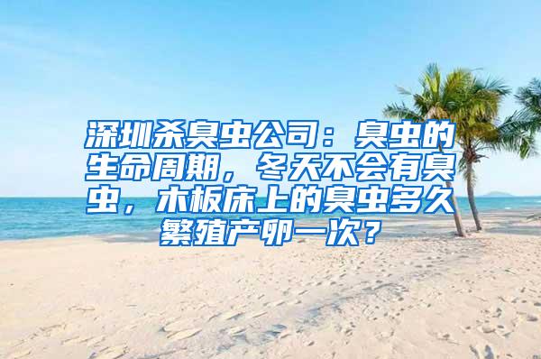深圳殺臭蟲公司：臭蟲的生命周期，冬天不會有臭蟲，木板床上的臭蟲多久繁殖產卵一次？
