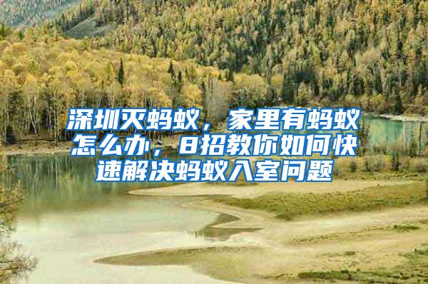 深圳滅螞蟻，家里有螞蟻怎么辦，8招教你如何快速解決螞蟻入室問題