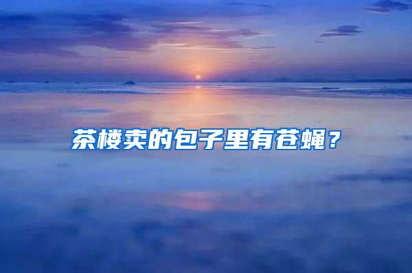 茶樓賣的包子里有蒼蠅？