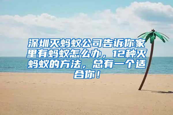 深圳滅螞蟻公司告訴你家里有螞蟻怎么辦，12種滅螞蟻的方法，總有一個適合你！